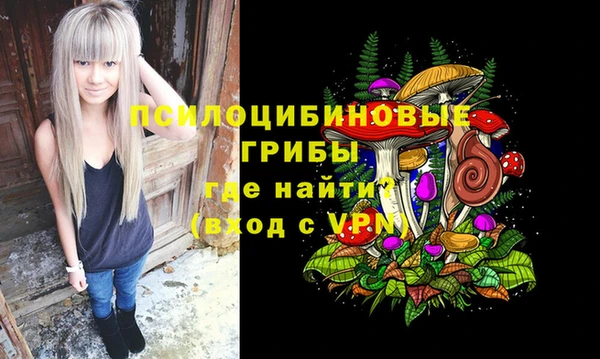 ешки Кинешма