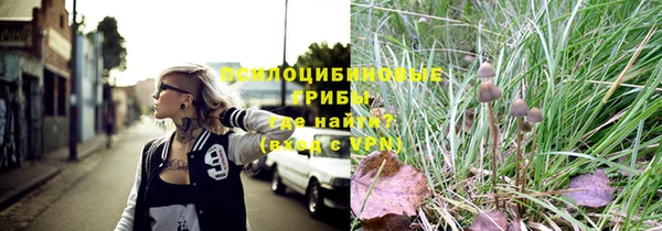 ешки Кинешма