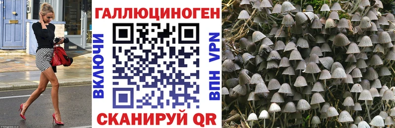 Псилоцибиновые грибы Magic Shrooms  Купить где  Заинск 